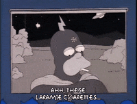 Season 2 Episode 21 GIF by The Simpsons