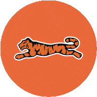 Fashion Street Sticker by Le TIGRE