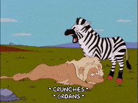 Episode 5 Lion GIF by The Simpsons