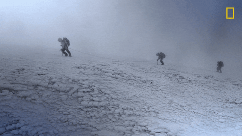 Nat Geo Explorer GIF by National Geographic Channel