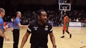 Excited Ric Flair GIF by Hoopsfix