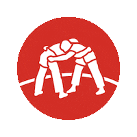 Kraftkom werbeagentur stgallen schwingen esaf Sticker