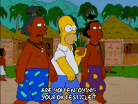 homer simpson GIF