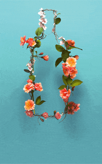 pernodricardusa  GIF