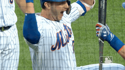Excited Lets Go GIF by New York Mets