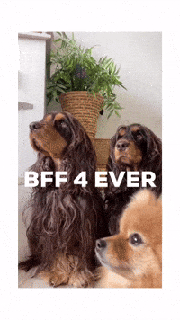 Bff Twins GIF
