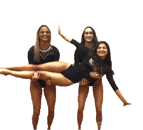 Tugym Sticker by TowsonGymnastics