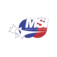 Msi Credit Sticker by MSI Credit Solutions