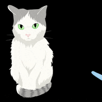 meguuedaart anime cat kawaii animals GIF