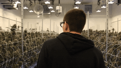 Look Looking GIF by Exclusive Brands