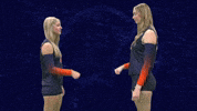 Cnvb GIF by Carson-Newman Athletics