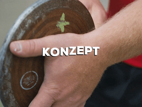 lexolino_de giphygifmaker happy school joke GIF