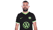 Admir Mehmedi Soccer Sticker by VfL Wolfsburg