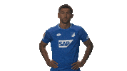 showing over there Sticker by Bundesliga