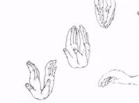 Hand Fly GIF by mjkahn