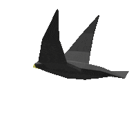 3D Flying Sticker by Zacxophone