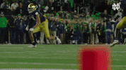 Tackle Nd Football GIF by Notre Dame Fighting Irish