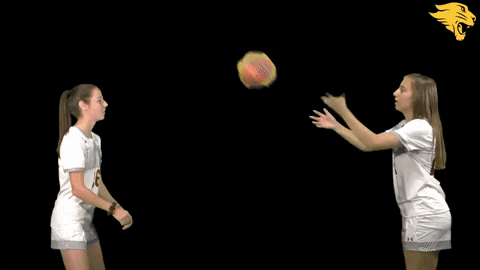 D3Soc Cuc19 GIF by CUCougars