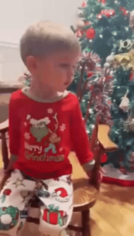'Yay! An Onion!': Toddler Has Ecstatic Reaction to Prank Christmas Gift