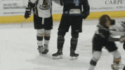 Hockey Fight GIF by Fayetteville Marksmen
