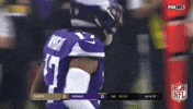 Minnesota Vikings Football GIF by NFL