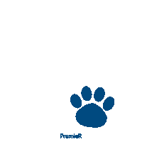 Cat Dog Sticker by PremieRpet