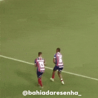 Bahia GIF