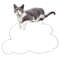 Lonely Cat Sticker