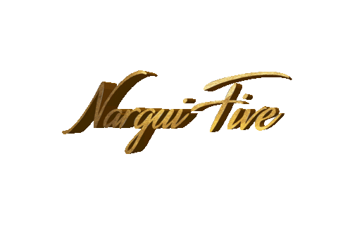 narguifivedubai giphyupload Sticker