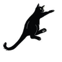 Kinibe cat negro blackcat gatonegro Sticker