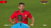 Sl Benfica Slbgif GIF by Sport Lisboa e Benfica