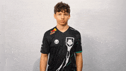 Come Again Excuse Me GIF by G2 Esports