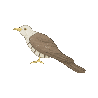 suisigart bird spring ukraine symbol Sticker