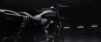 H-D Sport GIF by Harley-Davidson