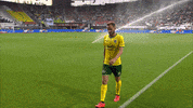 Sport GIF by FOX Sports