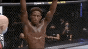 Hakeem Dawodu Win GIF by UFC
