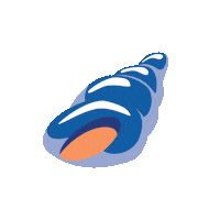islandmedia sea diving shell shells Sticker