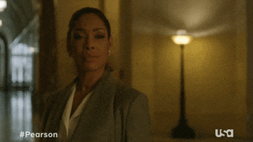 Usa Network Television GIF by Pearson