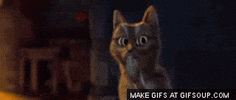 oo GIF