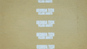 Georgia Tech Football Sport GIF by Georgia Tech Yellow Jackets