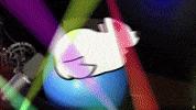 Cat 旋轉 GIF