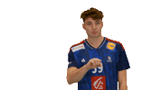 Ffhandball Sticker by Fédération Française de Handball