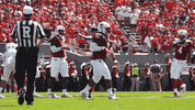 Nc State Wolfpack GIF by NC State Athletics