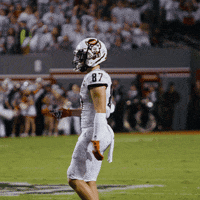 Nc State Wolfpack GIF by NC State Athletics