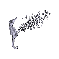 Sea Horse Sticker by Conservation Diver