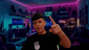 Bich GIF