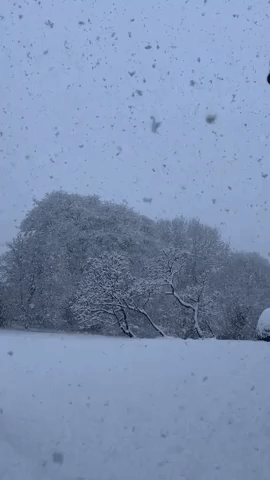 Motorways Shut Across UK as Heavy Snowfall Causes Treacherous Conditions
