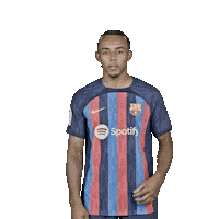 Sport Barca Sticker by FC Barcelona