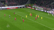 football soccer GIF by 1. FC Köln