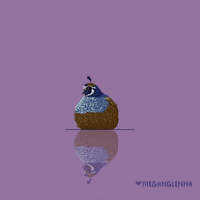 8 Bit Pixel Art GIF by Megan